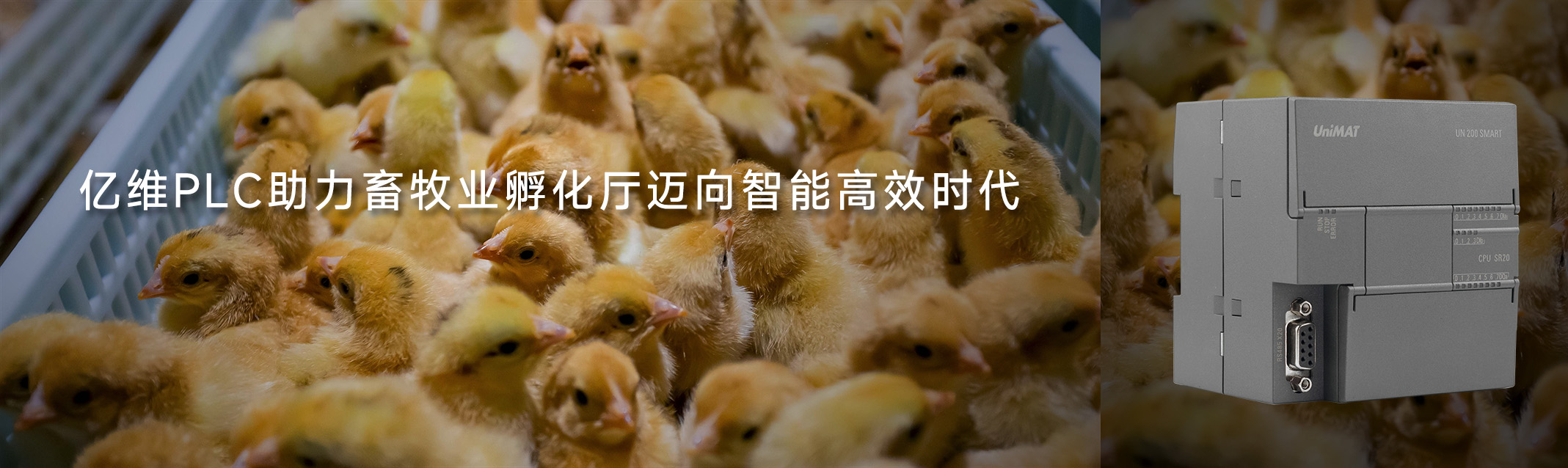 k8凯发天生赢家一触即发人生PLC助力畜牧業孵化廳邁向智能高效時代